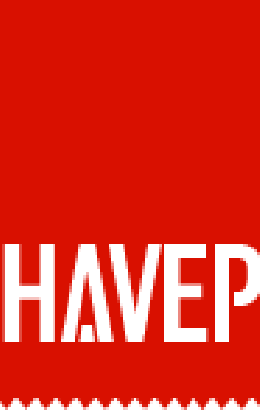 HAVEP® Multi Shield Veiligheidsvest fluo geel